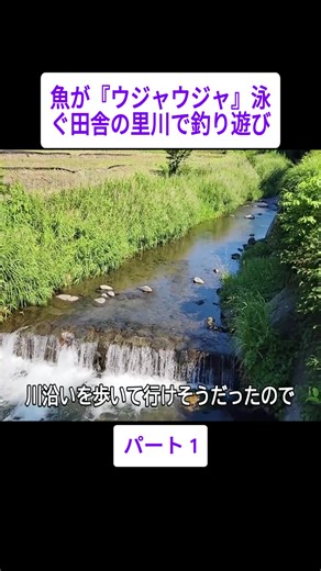 夏の里川で楽しむ釣り遊びの魅力