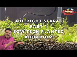 How to Start Your Aquarium the RIGHT Way – Part 1: Before You Buy Anything!