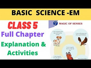 Class 5 Basic science EM Chapter 7 Magic of senses explanation and activities full chapter|#class5