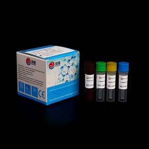 [Hot Item] Rt PCR Reagents Mh Uu up Multiplex Nucleic Acid Detection Kit