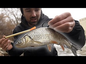 Deadbeat fishing for pike I River