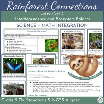 Rainforest Lesson Set 3: Instincts & Learned Behaviors, Ecosystem Balance