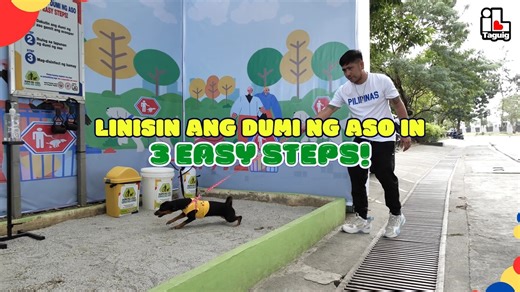 799K views · 1K reactions | LINISIN ANG DUMI NG ASO IN 3 EASY STEPS! PET WASTE STATION (SANDBOX) Step 1: Kunin ang scooper at dakutin ang dumi Step 2: Itapon ang dumi sa pet waste bin Step 3: Mag-disinfect ng kamay Laging tandaan, dumi ng aso, linis ng amo! #ilovetaguig | I Love Taguig | Facebook