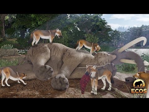 Hungry Dire Wolves Hunting Down Exhausted Mammoth! | ROBLOX Ecos: La Brea