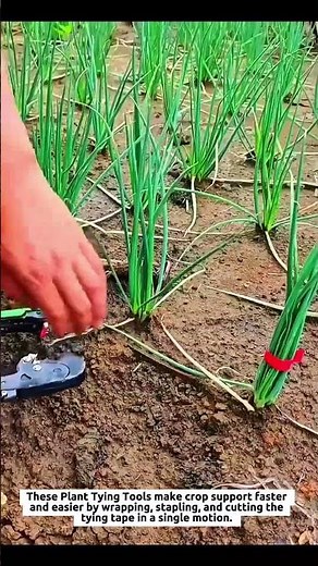 Plant Tying Tools Secure Crop Stems Fast with a Professional Tapener Tie Tools