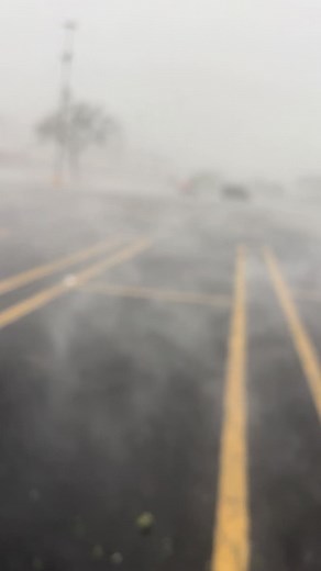 Hurricane Idalia Live: Florida Coast in Storm's Path