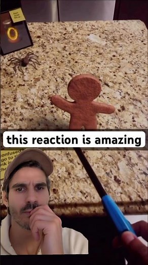Gingerbread man #chemicalreaction #funny #joke #laugh #gingerbread
