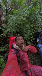 20K views · 555 reactions | Day Gery on Reels | Facebook