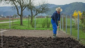 A farmer is throwing a well-rotted manure on the other side of a garden bed using a garden fork. Wide-angle shot.