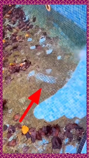 9.4K views · 46 reactions | Krishna Kumar on Reels | Facebook