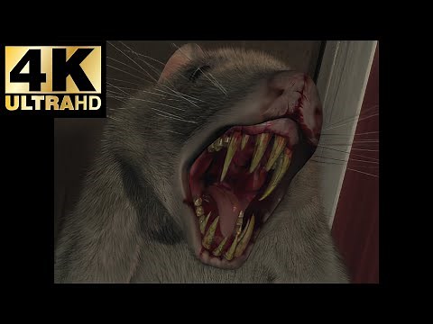 Parasite Eve FMV 4 Rat Transformation (4K - AI Machine Learning Upscaling)