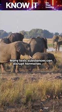 10 Captivating Facts About Environmental Toxicology