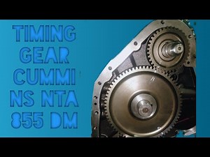 timing gear cummins nta 855 dm