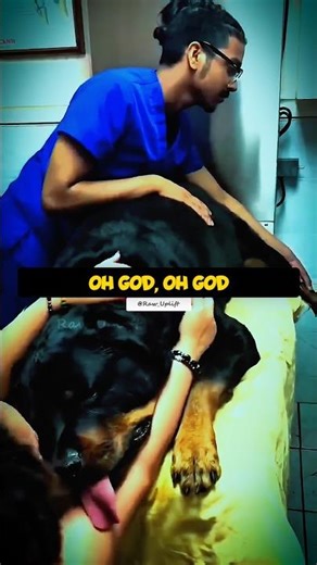 If You Love Dogs… This Will Hurt 😔 #shorts #dog #viral #realstories