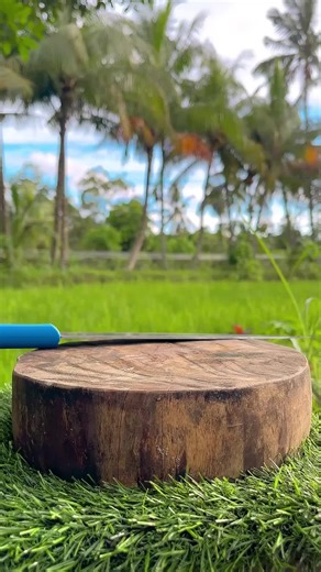Unboxing Amazing Coconut Experience