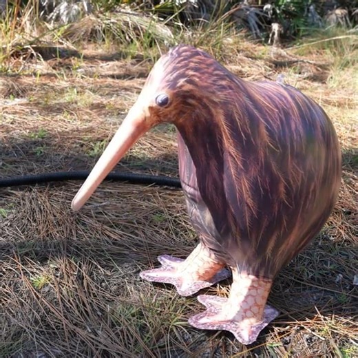 18-Inch Realistic Inflatable Kiwi Bird from Jet Creations