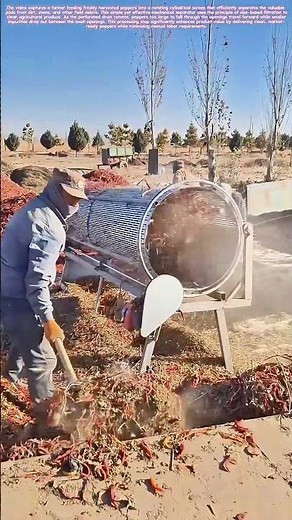 Sifting the Harvest: The Rotary Screen for Pepper Cleaning