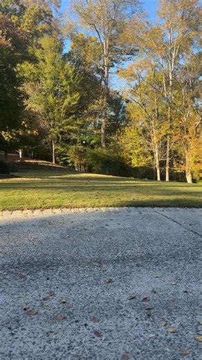 It’s easy to find a huntin’ dog but have you ever tried to find a huntin’ human 😂 #hunting #fyp #blacklab #retriever #georgia