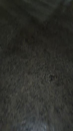 Mọi người ơi nay mình gặp ai đồ top top😂 #xuhuongtiktok @BaSuRi Sơn Còi @⚜️Thiện Mèo🔱 @Hoàng 🚛 36C-484.29 🎺🐝 @Thưởng Đặng