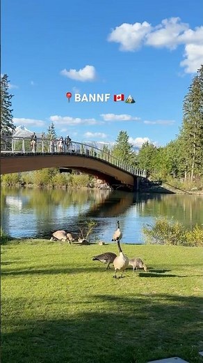 Banff Summer Vibes | Lakes, Mountains & Endless Beauty 🇨🇦🏔