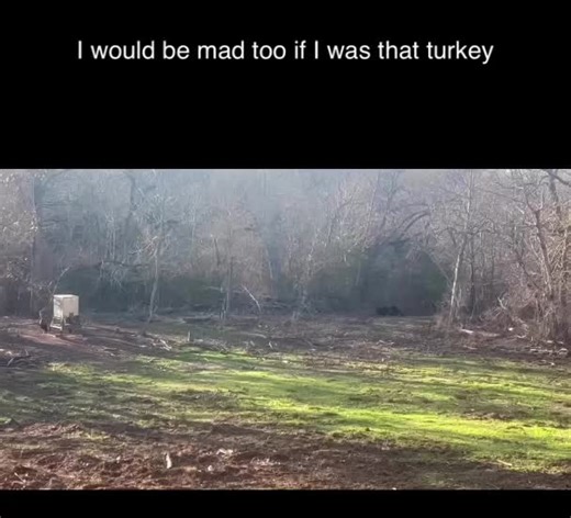 Papa Bear (@daddybear2005)’s videos with original sound - Papa Bear