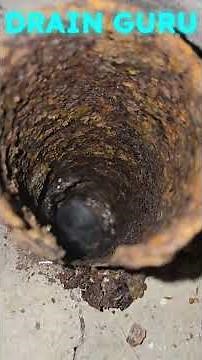 Sewer smell NO ONE could figure out, SOLVED IN 1 MINUTE🔧PLUMBING TIPS #plumbing