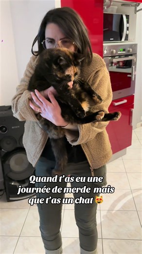 #chat #catslovers #fypppppppppppppp #😻