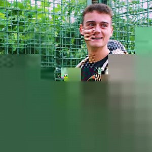 Big Cat Encounters at The Big Cat Sanctuary! 🐾 Featuring a guided tour of our Sanctuary from one of our expert keepers, you’ll learn about the range of wild cat species and the conservation efforts that we support globally working to protect species. Your tour will culminate with the opportunity to hand-feed one of our magnificent felines. To book this truly memorable experience, visit our website today here: http://bit.ly/BigCatEncounter | The Big Cat Sanctuary