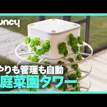 家庭菜園をレベルアップ？自動水耕栽培タワー「Nutraponics」