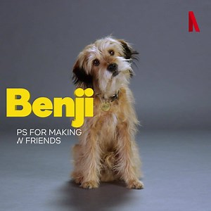 169K views · 15 reactions | Benji sure knows how to make (human and dog) friends! | Netflix Family | Facebook