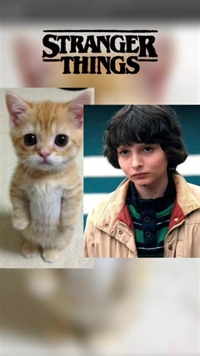 More Stranger Things Cats Compilation