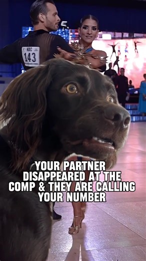 2.3K views · 37 reactions | Funny Ballroom Dance Memes Share the laughs - Tag 5 dance friends  Comment if you want more  #dancesport #ballroomdancing #funnymeme #latindance | Dancesport Network | Facebook