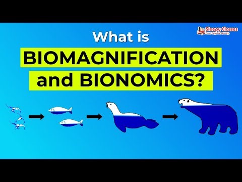What is Biomagnification and Bionomics?