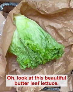 1.4K reactions · 344 shares | See for yourself why Farmbox Direct has been raved about on the Today Show, Forbes, TIME, Popsugar, and more.塞凌 Get a box full of farmer's market quality fruits and veggies delivered directly to your door every week! "My favorite thing about the box was that I tried things I normally wouldn't have.” – Popsugar | FarmboxRx | Facebook