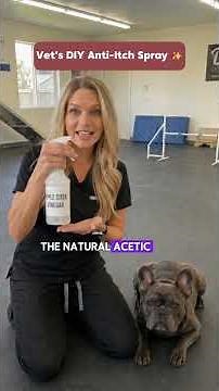 Stop your dog's constant itching with this simple apple cider vinegar hack