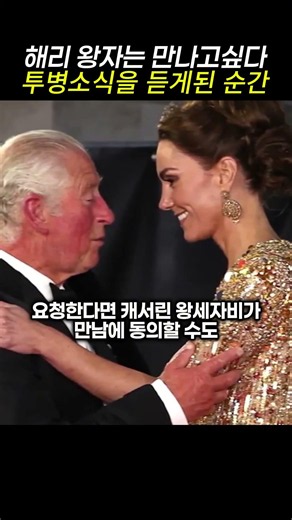 해리왕자는 만나고싶다