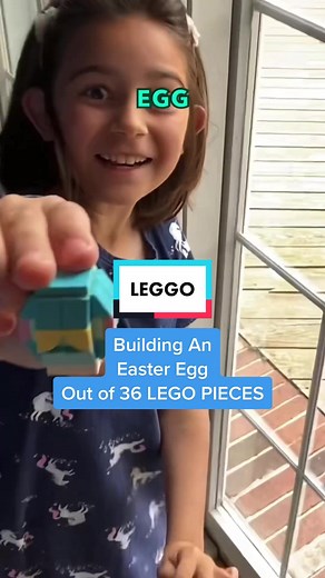 LittleBricksCharityGuy on TikTok