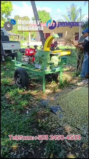 🌱 This is how a real professional Penagos PE-800 silage harvester works 🔥 #penagos #pe800 #agricu...