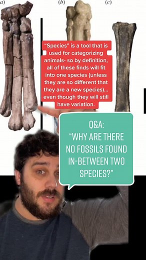 Zeke Darwin on TikTok