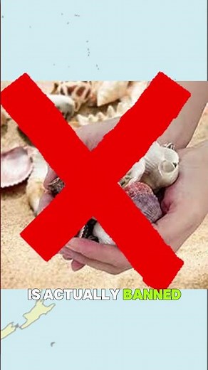 Where you can't pick up shells😱#facts #shorts #geography