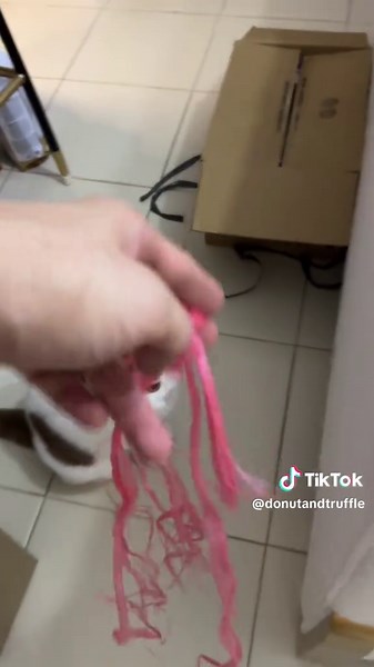 Introvert vs. Extrovert