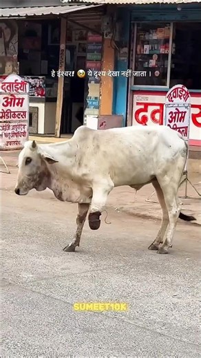 Power 🔥 off Shiva 😈⚡|| Bhola mere bagad bamsong | Motivation | #mahadev #bholenath #trending #shorst