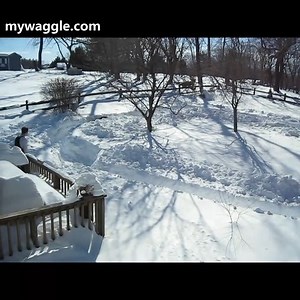 Why I always end up where I started? Let me out. Celebrate Independence Day with Waggle! Get 40% OFF on Waggle Pet Temperature Monitor and experience a safe & fun RVing with your furry friends. Use #Waggle to keep an eye on the Temperature, Humidity, and much more. Hurry! Limited time OFFER. shop now - https://bit.ly/3iGazs2 Check out our latest blogs on : https://bit.ly/3wpioX3 | Animal Tales