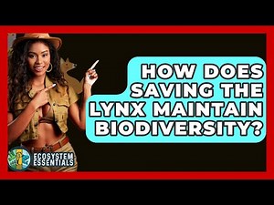 How Does Saving The Lynx Maintain Biodiversity? - Ecosystem Essentials