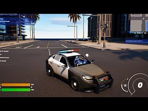 police cars are back!!