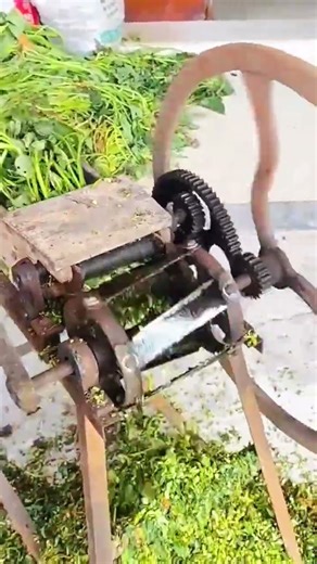 the process of cutting vegetable waste using a special machine