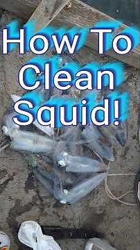 How To Clean A Squid From Start To Finish 🐙
