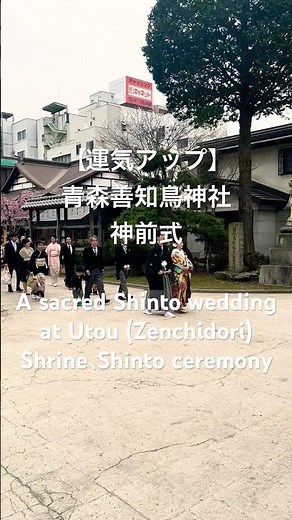 青森善知鳥神社 神前式A sacred Shinto wedding at Utou (Zenchidori) Shrine、Shinto ceremony #スピリチュアル #パワースポット