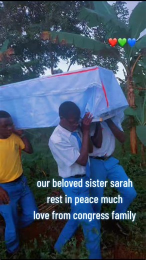 poison tea (@congresshighschool23)’s videos with original sound - D🍎yana247