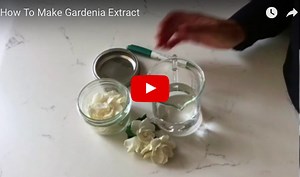 How To Make Gardenia Extract - Joan Morais Cosmetics School